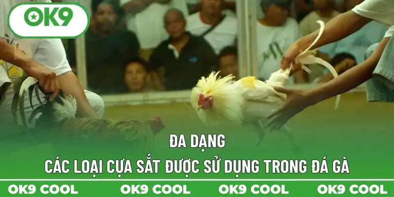 Đa dạng các loại cựa sắt được sử dụng trong đá gà Đa dạng các loại cựa sắt được sử dụng trong đá gà